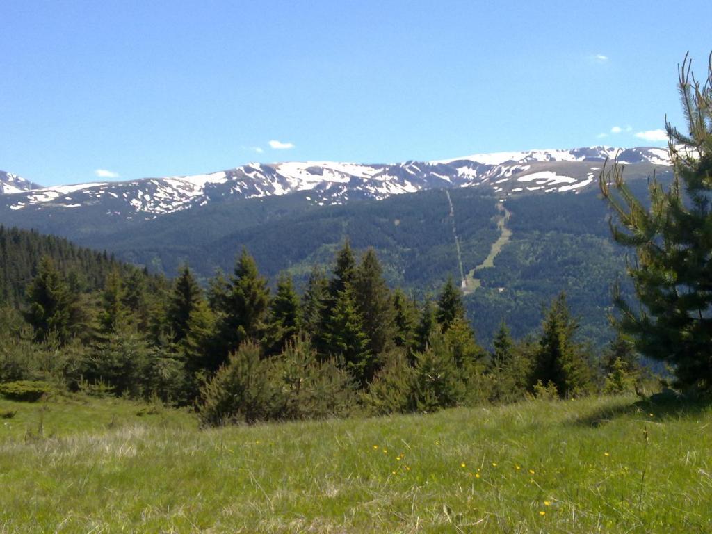 Mountain Dreams Apartment Sapareva Banya Exterior photo